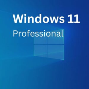 Windows 11 Pro